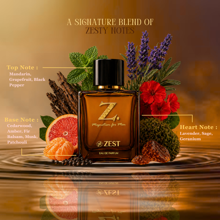 Z Magnetism for Men Classic & Zest Eau De Parfum | Buy 1 Get 1 Free – 2 x 100ml Bottles (Total 200ml) | Long Lasting Luxury Perfume for Men | Fresh Scent | Premium EDP for Office, Party & Gifting