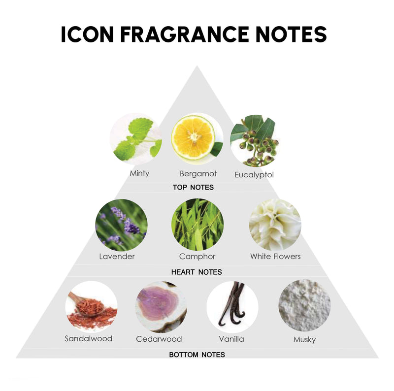 Z Icon Talc for Men | Spice. Musk. Dominate. — image 5