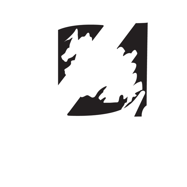 Z Magnetism